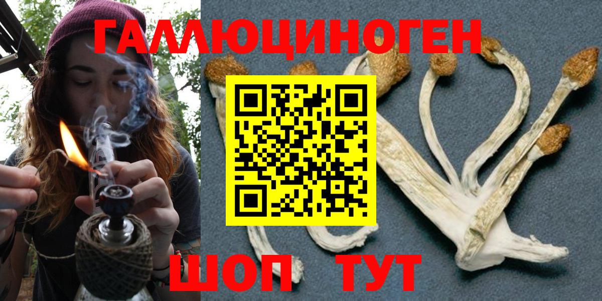 Оренбург  Псилоцибиновые грибы Magic Shrooms  где найти   Вход с VPN 