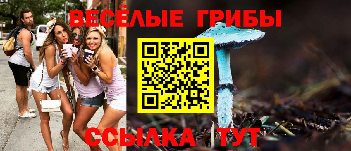 Галлюциногенные грибы прущие грибы Оренбург